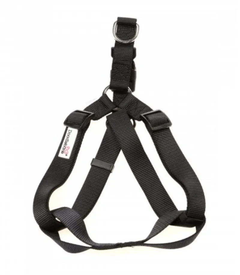 DB Original Harness